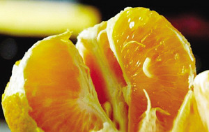 多地出現(xiàn)帶蛆柑橘農(nóng)業(yè)部要求及時(shí)公開測控結(jié)果