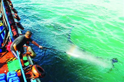 小青島近?，F(xiàn)千米油污帶 夾帶漂浮垃圾來源不詳