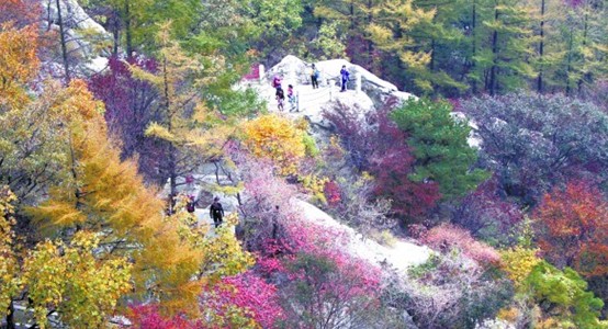 青島今日降溫幅度達(dá)6℃ 25日再遇冷空氣